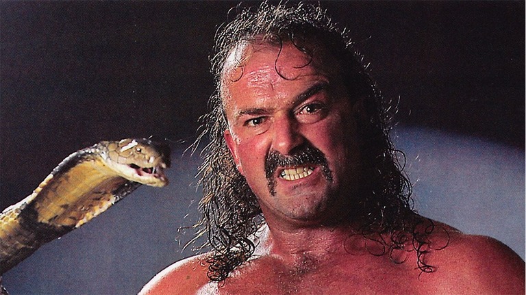 Jake Roberts on Time in WWE Creative, WWE's Current Product, Reaching